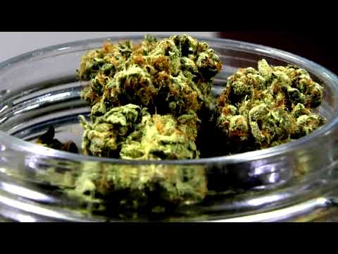 Recreational Marijuana