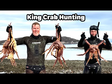 Spearfishing King Crab in Norway - Roadtrip to the Nordkap