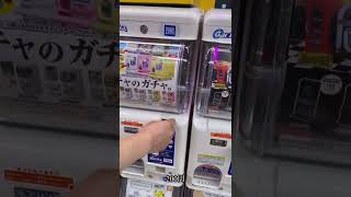 #ガチャガチャ #뽑기 #일본 #한일부부 #日韓夫婦 #shorts