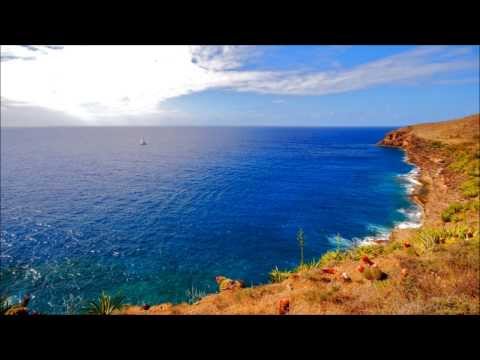 /// HD /// ... MUSIC BY SRI CHINMOY . MANTRIC FLOWERS . MEDITATION