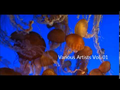 Maook - Sea Life (Original mix) (Low Q)
