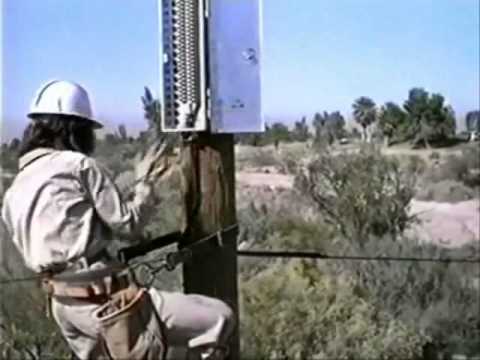 NInja 3 The Domination MUSIC SCENES Love Bites Performed by Sally Zapulla and wrote by Dave Powell