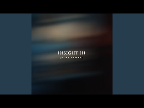 Insight XXXIII