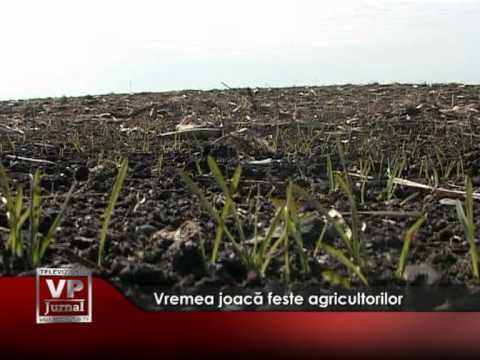 Vremea joacă feste agricultorilor