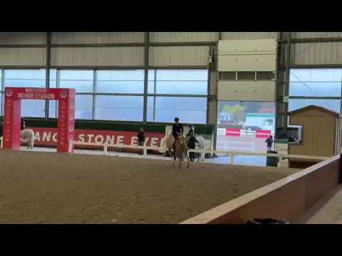 Goldilocks video 1