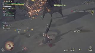 [モンハンワイルズ]　アプデきたので適当にあそぶ！