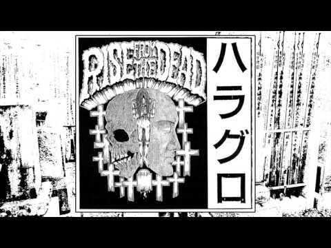 Rise From The Dead - ハラグロ 7"