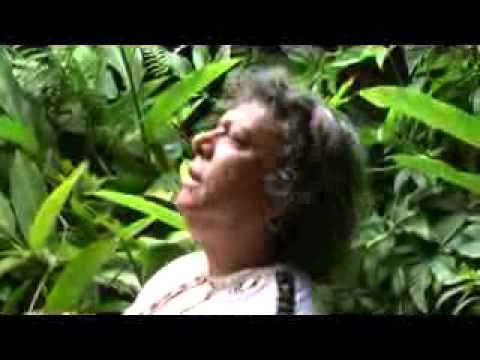 EVALDO FREIRE - TARDE DE DOMINGO TARAUACA ACRE