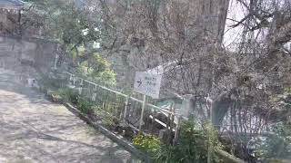 【下関市】小倉城と縁がある　厳島神社