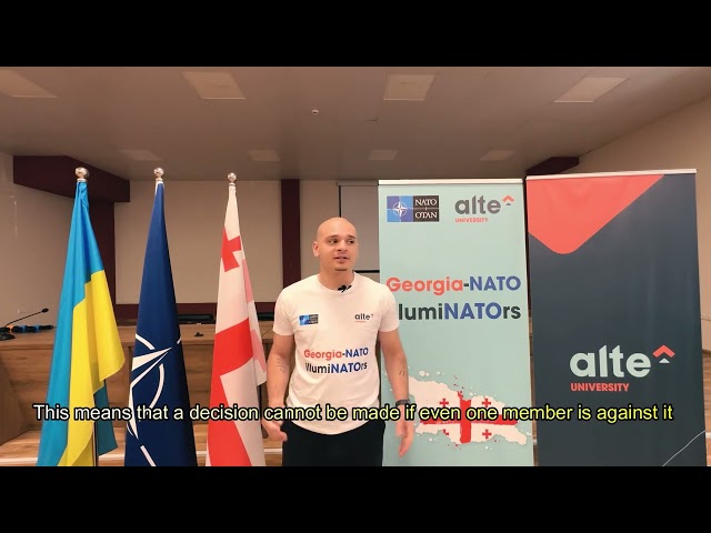 Georgia-NATO IllumiNATOrs - თორნიკე ჯგუშია - დეზინფორმაცია VS ნამდვილი ამბავი