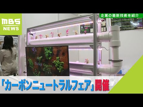 ゼロカーボン: フットプリントを削減するにはどうすればよいですか?新しい革新的な温室のすべて!  庭園