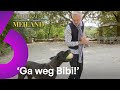 Martien DOODSBANG voor GROTE HOND... ??? | CLASSICS: Chateau Meiland #AFL17