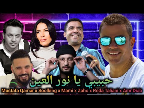 Cheb Mami x Soolking X Amr Diab x Mustafa Qamar x Zaho x Reda Taliani - Habibi Remix 2024
