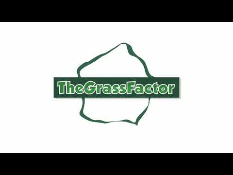 DISEASE or DROUGHT STRESS in TALL FESCUE? - The Grass Factor