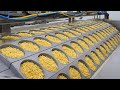 놀랍습니다! 압도적인 라면공장의 최상급 재료로 만드는 라면 생산과정 Amazing ramen making process in korean instant noodle factory