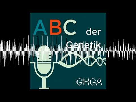Transgen: Warum Bakterien Insulin machen