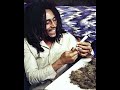 YG Marley Praise Jah In The Moonlight Slowed Reverb