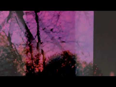 Jauzas the Shining + Marilyn Veber The Reasoning of the Soul  ( Official Video)