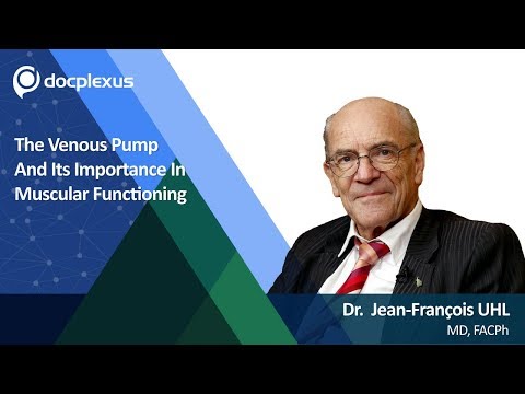 The Venous Pump Mechanism And Its Importance In Muscular Functioning
