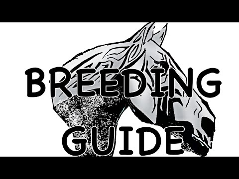 Guide to Breeding- Horse Academy