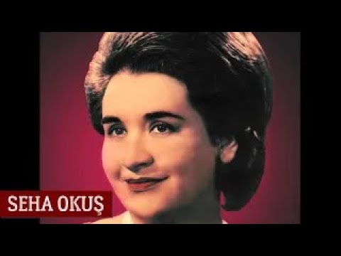 Seherde Bir Bağa Girdim - Seha Okuş - (Türkü Gibi Hayat)