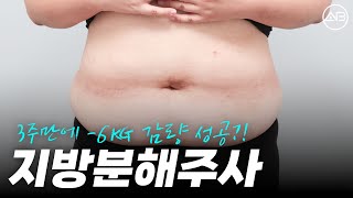 매번 다이어트에 실패하시는 분 보세요🙋‍♀️