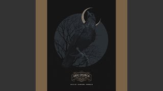 Two Pink Lines (Live At US Bank Arena, Cincinnati, OH / April 22, 2017)