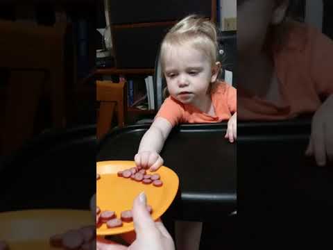 Taste Testing Turkey Snack Sticks