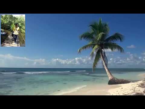 Karaoke ambon.  Paleng bae