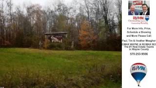 preview picture of video '552 Equinunk Creek Rd, Lakewood, PA Presented by Tim Meagher.'