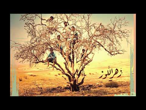 Shahrazad | شهرزاد