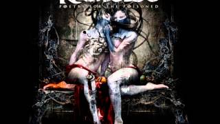 Kamelot &quot;If Tomorrow Came&quot;