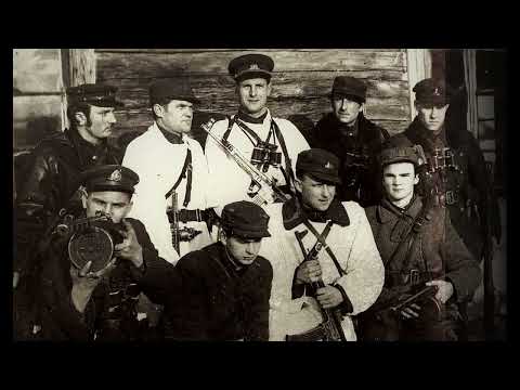 Alyte! Partizanų daina