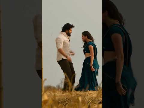 Reel tagged #bhagyashriborse