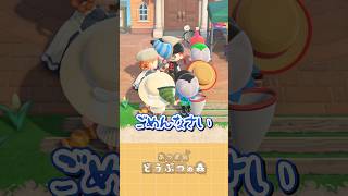 【#あつ森 】荒らしだ!!!ルールを守らない奴には制裁を!!!(配信主です)#あつまれどうぶつの森 #どうぶつの森