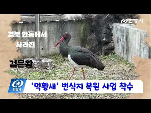 [안동시정소식] 12월 4주
