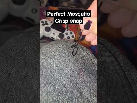 Perfect Mosquito😵‍💫 #mosquito #bobbypin #schoolprank #snap #crispy