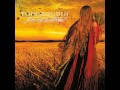Todesbonden - Aengus Óg Fiddle 