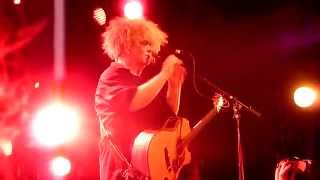 King Buzzo : Iggy Pop story - Paris - 08/31/2014