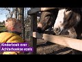 Kinderboek met Achterhoekse ezels in de hoofdrol