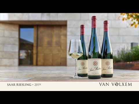 Van Volxem Saar Riesling 2019 - Probe