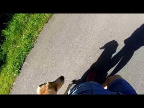 Seitenwechsel beim Gehen