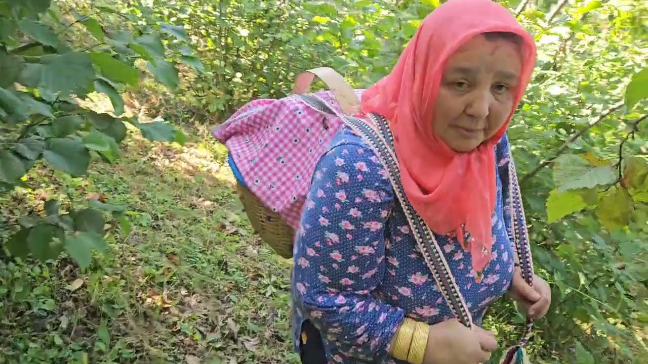 ‼️SEPETİ YÜKLEDİM SIRTIMA DÜŞTÜM YOLLARA FINDIK ZAMANI GELDİ‼️