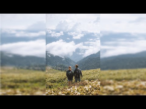 ???????? Ouvindo os SONS DO AMANHECER: Uma Experiência Única ????????