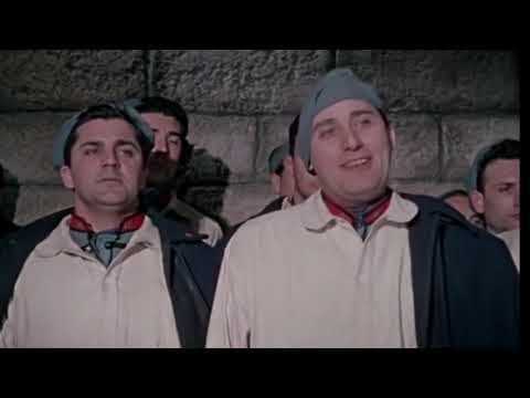 Alberto Sordi - L'allegro squadrone (1954)