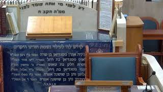 בית הכנסת יזדים שידור חי • יום ראשון יח' חשוון תשפ'ו (בית הכנסת מוסאיוף) - התמונה מוצגת ישירות מתוך אתר האינטרנט יוטיוב. זכויות היוצרים בתמונה שייכות ליוצרה. קישור קרדיט למקור התוכן נמצא בתוך דף הסרטון