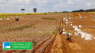  Contratação de trabalhador agrícola safrista - 09/06/2026 16:30
