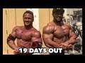 BODYBUILDING MOTIVATION - CHEST WORKOUT | SHAWN RHODEN & REGAN GRIMES 19 DAYS OUT