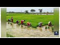 Happy Farmers Day Farmers Watsapp Status Farmers Watsapp Status In Kannada