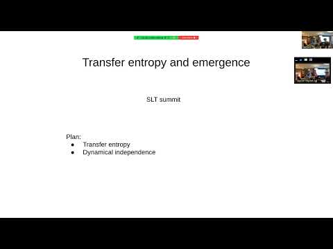 SLT Summit 2023 - Transfer Entropy and Emergence